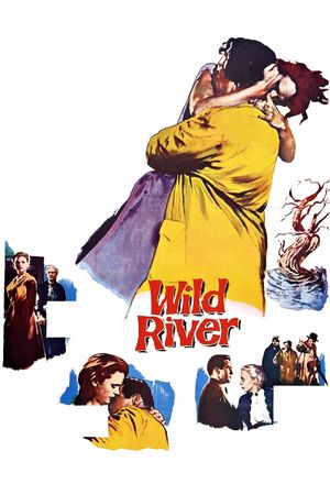 Wild River's poster