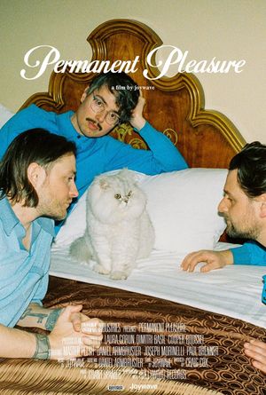 Permanent Pleasure's poster