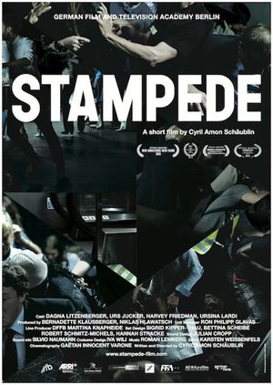 Stampede's poster
