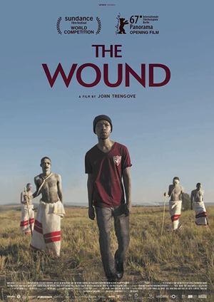 The Wound's poster