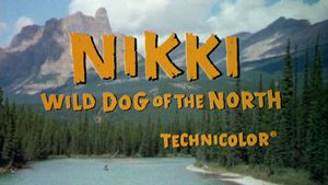 Nikki, Wild Dog of the North's poster