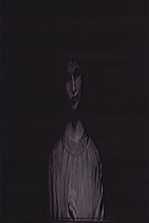 exhibition's poster