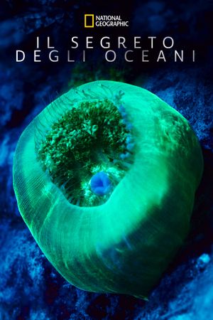 Ocean's Breath's poster