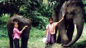 The Elephant Boy's poster