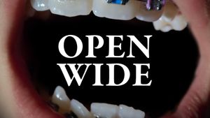 Open Wide's poster