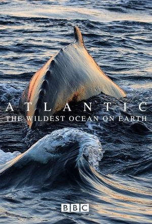 Atlantic: The Wildest Ocean on Earth's poster