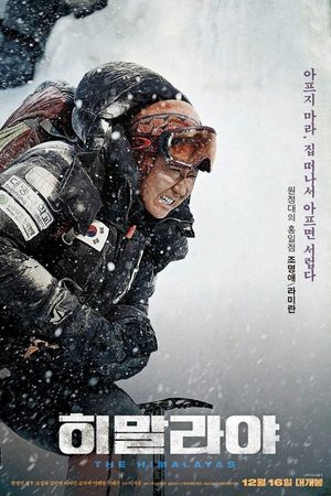 The Himalayas's poster