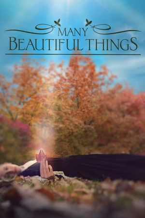 Many Beautiful Things's poster