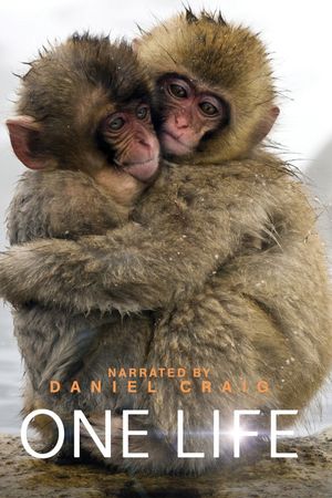 One Life's poster