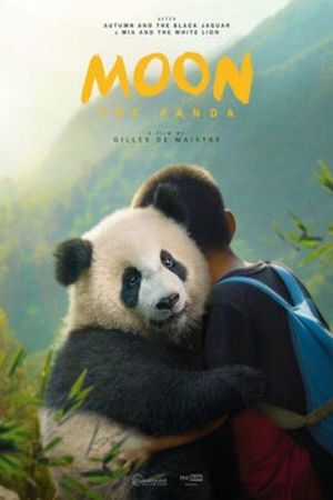 Moon le panda's poster