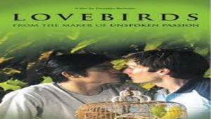 Lovebirds's poster