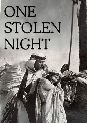 One Stolen Night's poster