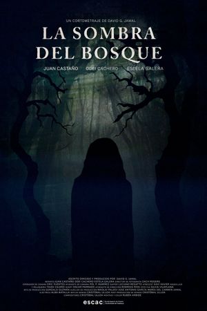 La Sombra del Bosque's poster