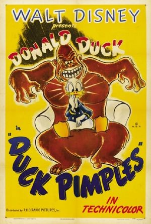 Duck Pimples's poster image