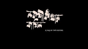 A Tale of Two Sisters's poster