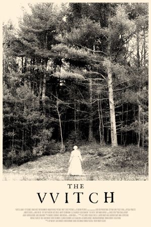 The Witch's poster
