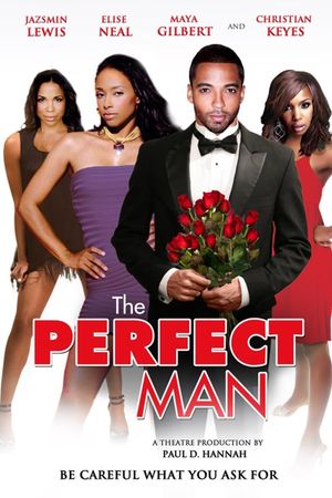 The Perfect Man's poster