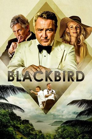 Blackbird's poster