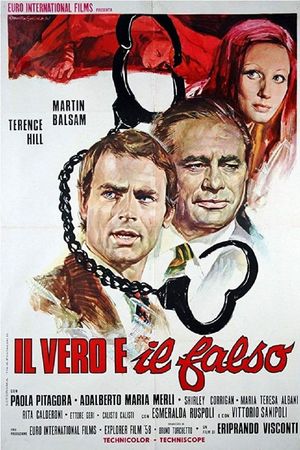The Hassled Hooker's poster