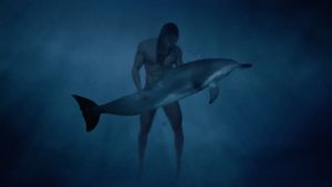 Dolphin Lover's poster