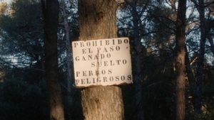 Provocative's poster