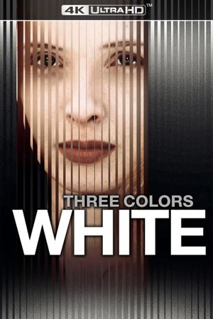 Three Colors: White's poster
