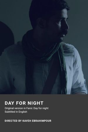 Day for night's poster image