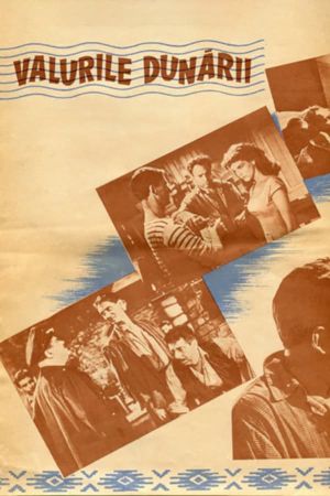 The Waves of the Danube's poster