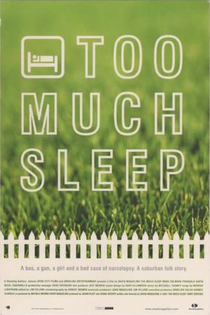 Too Much Sleep's poster