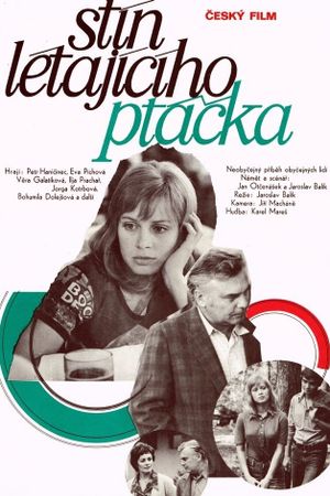 Stín létajícího ptácka's poster