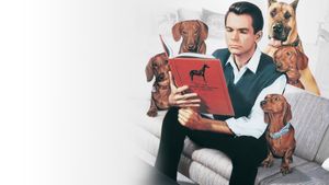 The Ugly Dachshund's poster