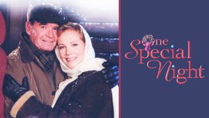 One Special Night's poster