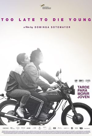Too Late to Die Young's poster