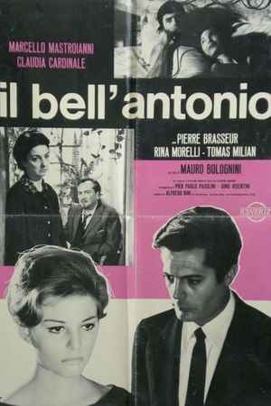 Bell' Antonio's poster