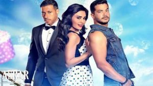 Misunderstanding's poster
