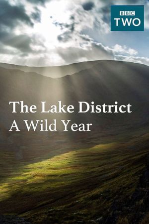 The Lake District: A Wild Year's poster