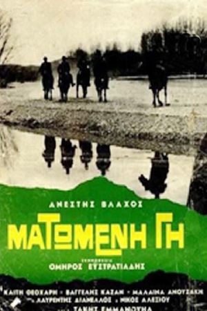 Matomeni gi's poster