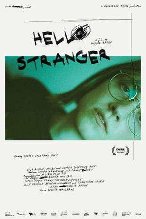 Hello Stranger's poster