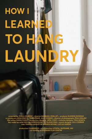 How I Learned to Hang Laundry's poster