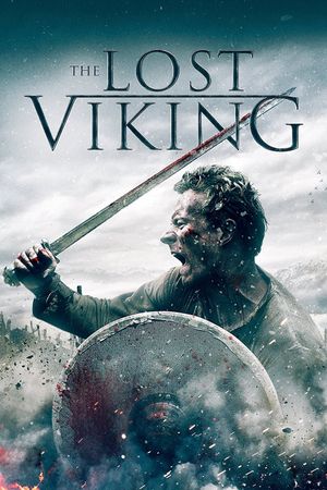 The Lost Viking's poster