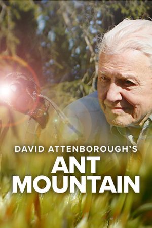 David Attenborough's Ant Mountain's poster image