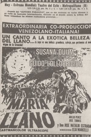 María del Llano's poster