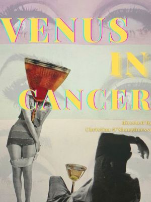 Venus in Cancer's poster