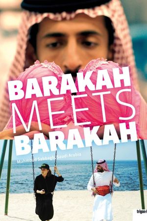Barakah Meets Barakah's poster