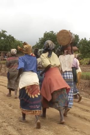 If Vagina Had Teeth: The Shona Rainmaking Ceremony in Western Mozambique's poster