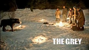 The Grey's poster