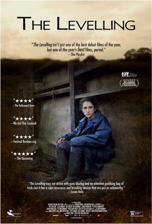The Levelling's poster