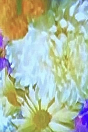 Meta-Marcel: Window (Flowers)'s poster