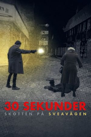 30 sekunder: Skotten på Sveavägen's poster