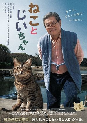 The Island of Cats's poster